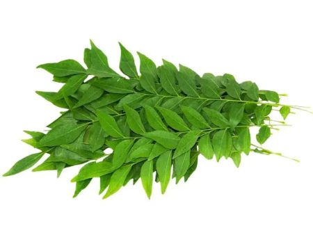 Fresh Curry Leaves - 10g For Cheap