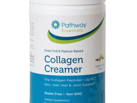 Collagen Creamer Vanilla Hot on Sale