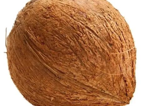 Brown Raw Coconut Online Sale