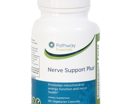 Nerve Support Plus Hot on Sale